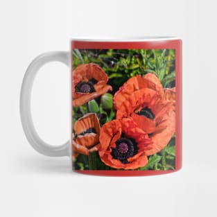 Blood Red Poppies (Square Crop) Mug